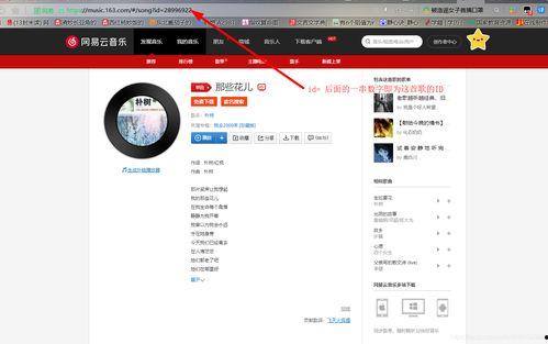 头条从哪插入文章音频,文章音频巧妙插入，揭秘幕后制作技巧