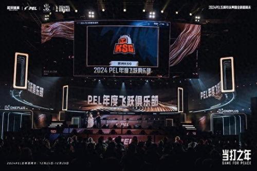 和平精英头条战队是什么,揭秘顶尖竞技的魅力所在
