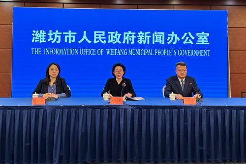 山东淄川南边新闻头条,聚焦区域发展新动态，共话南城崛起之路