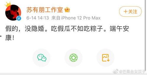 吃瓜不如吃粽子什么意思,端午佳节，传承民俗美食文化