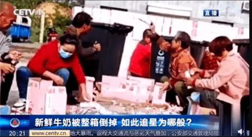 吃瓜观众莫里秀,吃瓜群众的欢乐盛宴
