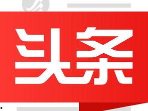 在家怎样做头条号,新手指南与实操步骤
