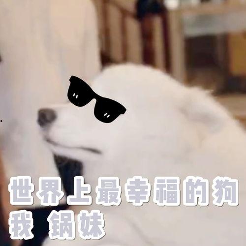 麻瓜久了怎么吃,重返现实饮食指南