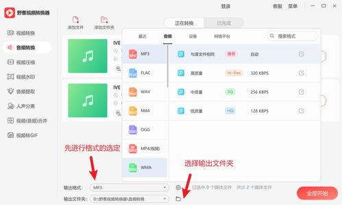 头条音乐视频音乐格式,头条音乐视频音乐格式解析