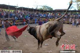 尼加拉瓜吃牛吗,牛肉美食探秘