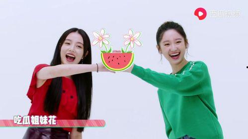 《吃瓜》姐妹,揭秘娱乐圈背后的秘密与友谊