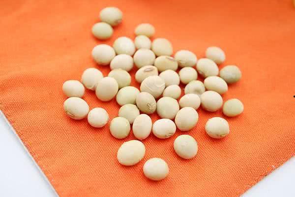 乳腺增生可以吃瓜吗,瓜类食物的适宜与禁忌
