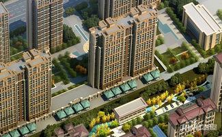 邢台中央公园新闻头条,打造城市绿色新地标