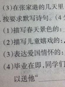 爱明星的句子怎么写,揭秘粉丝心中的偶像魅力