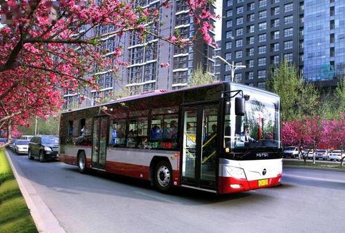 沧州公交车爆料视频最新,爆料视频揭示运营现状与乘客心声