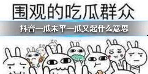 抖音吃瓜人员,网络舆论场上的“瓜农”众生相