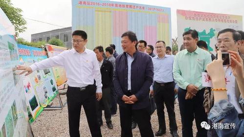 港南网红,揭秘网络红人的崛起之路