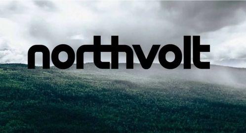 木头的足迹 微头条,跟随木头的足迹，揭秘树木生长的秘密