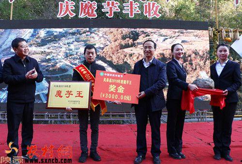 岚皋大湾村新闻头条