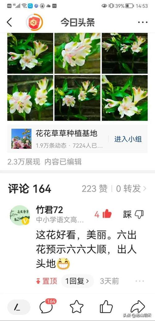 头条置顶问答评论,揭秘网友关注焦点与观点交锋