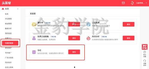 今日头条专栏怎么使用,打造个人品牌，提升内容影响力