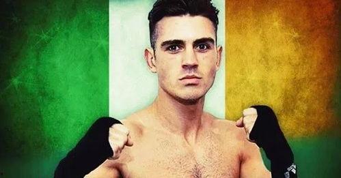 拳击明星 爱尔兰,荣耀之路与辉煌时刻