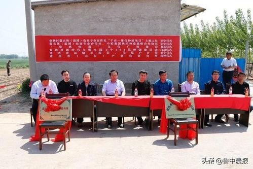 青县爆料最新新闻视频,视频揭露惊人真相，速看！