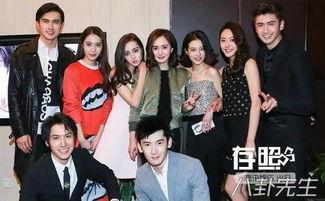 明星和新人的差别,揭秘明星与新人之间的差异