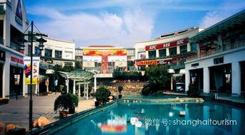 上海郊区今日新闻头条,探索乡村振兴新路径，共筑美丽乡村新篇章