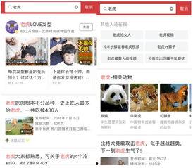 头条搜索为什么不行,头条搜索功能失效原因分析及解决方案概述